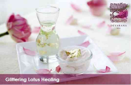 Glittering LotusHealing floral therapy