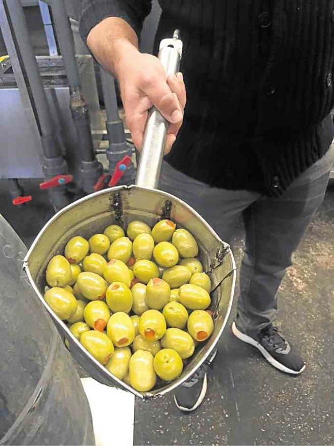 Mateo Muela shows off some unfiltered olive oil at their modern plant