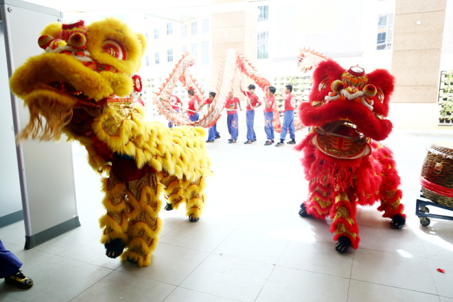 Ceremonial lion and dragon dance