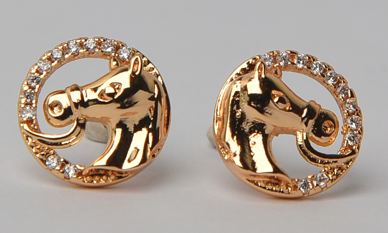 Astrology earrings, suggested luck enhancers for the Horse