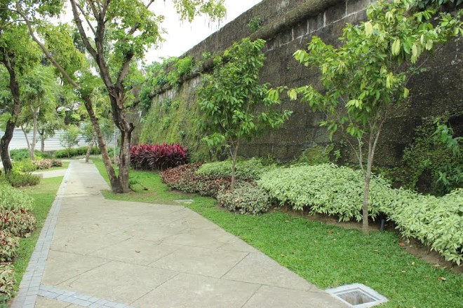Newly landscaped fortifications along the Pasig do not follow the conservation principle of protecting the adobe walls from additional moisture by leaving a bare space devoid of plants to avoid the transmittal of extra moisture from roots and leaves to the brittle adobe wall. —ALI ONGSINGCO