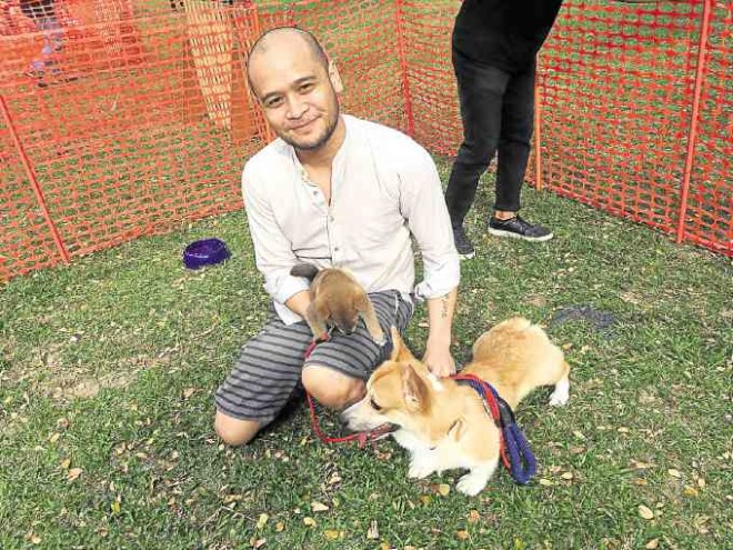 Christian San José with his Shiba Inu puppy, Booboo, and Corgi, Busy