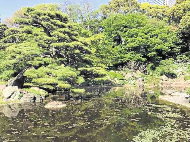 The pond at the east gardens of the Imperial Palace