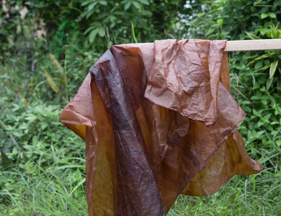 Meet the girl who makes leather with bacteria