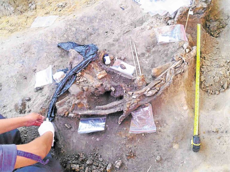 Butchered rhinoceros fossil found in Kalinga seen to radically revise
