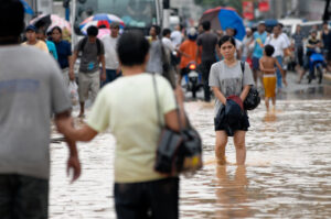 What you need to know about leptospirosis