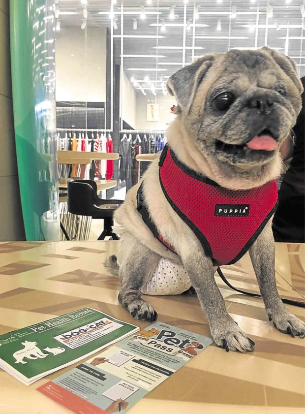 Pets and the cityguide to petfriendly malls Lifestyle.INQ