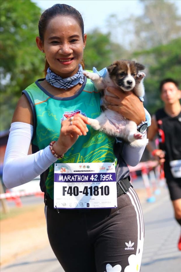 dog, marathon