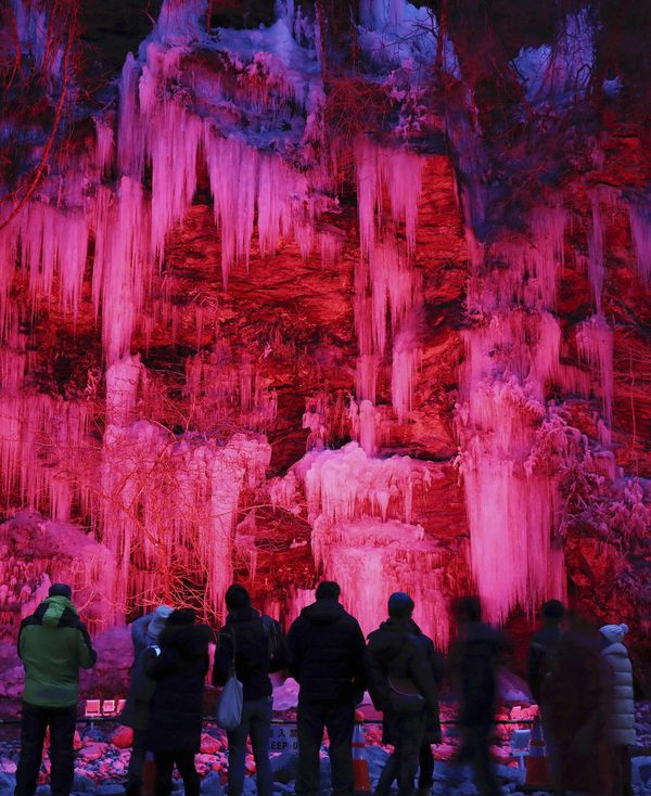 Illuminated icicles captivate visitors in Japan’s Saitama Prefecture
