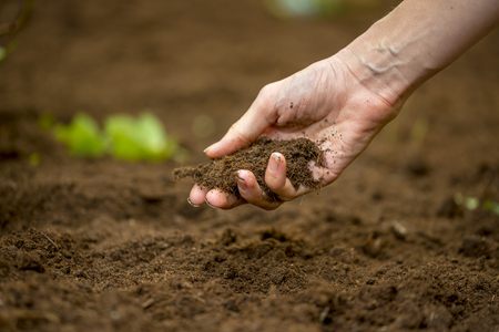 ‘Eating soil can aid in weight loss’
