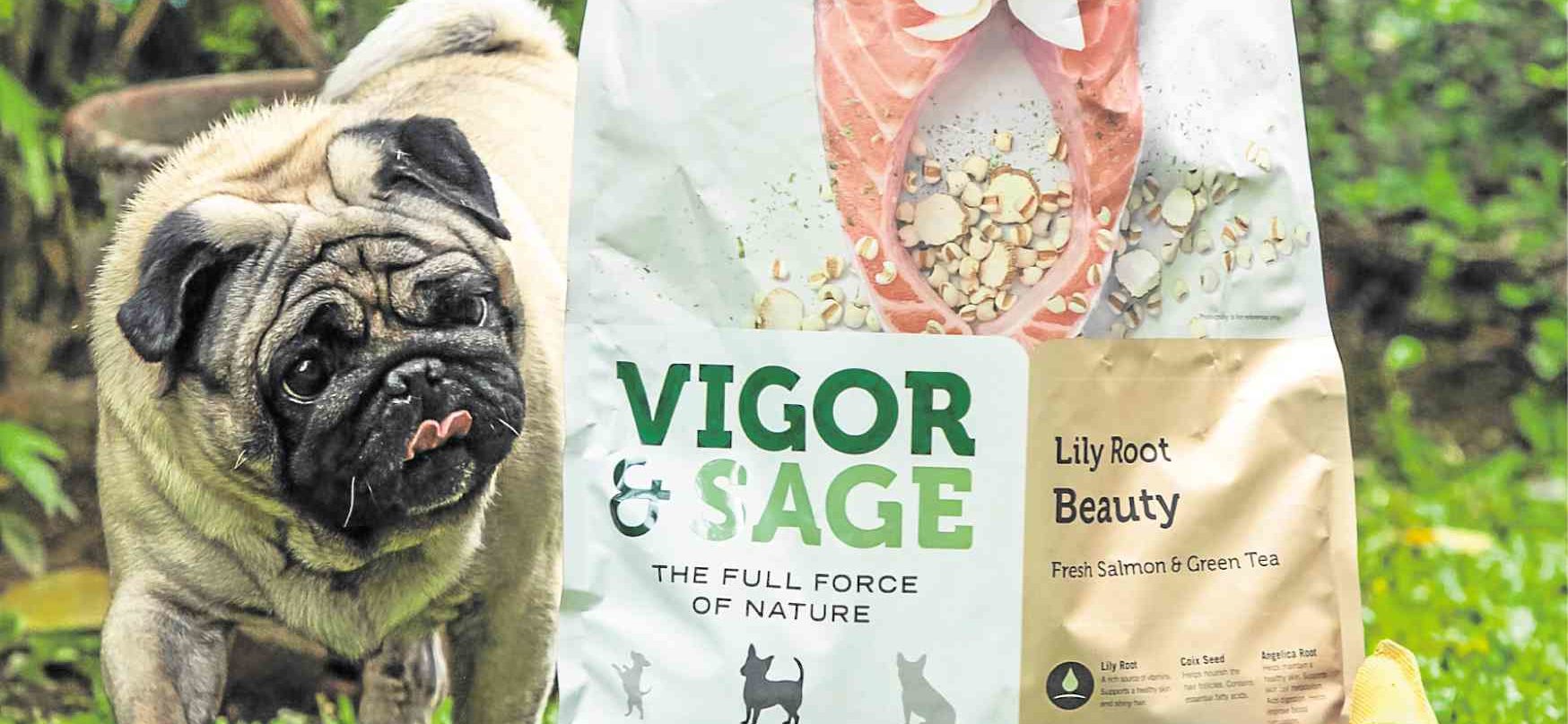 New dog food line offers ‘fine dining with herbs’