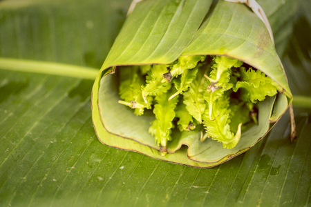 Vietnam supermarkets turn to banana leaves to wrap vegetables