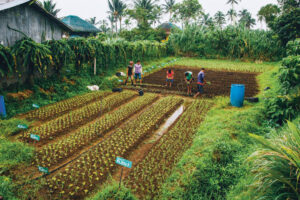 Philippines recognized as a top agritourism destination