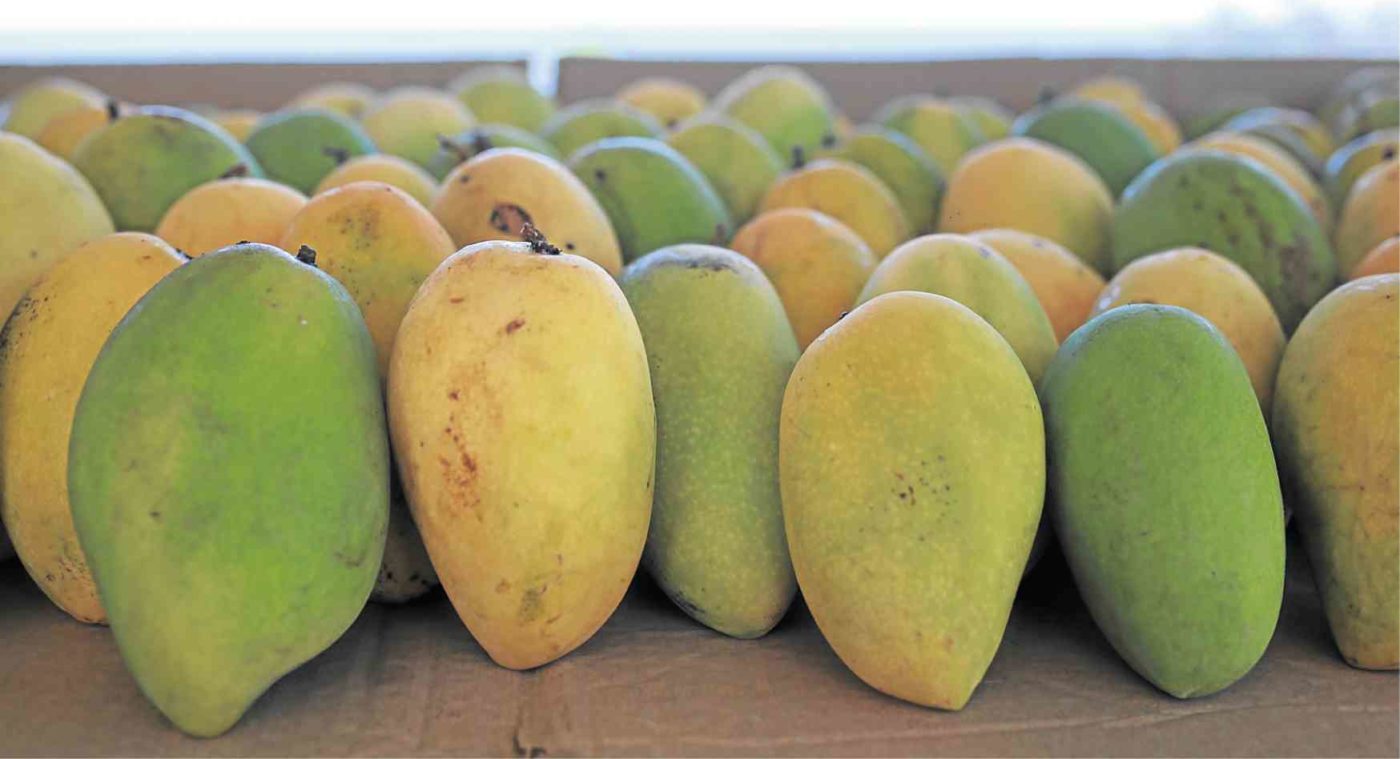 Iloilo, Guimaras, Miagao Now there’s mango pizza, Empanada Giring