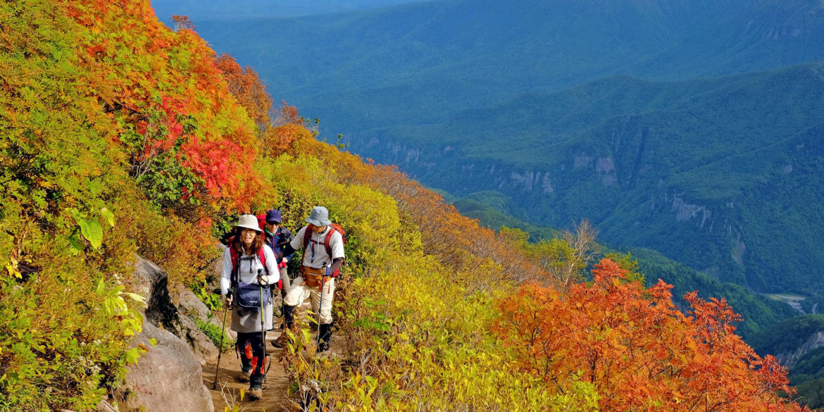 LOOK First autumn leaves in Hokkaido Inquirer Lifestyle