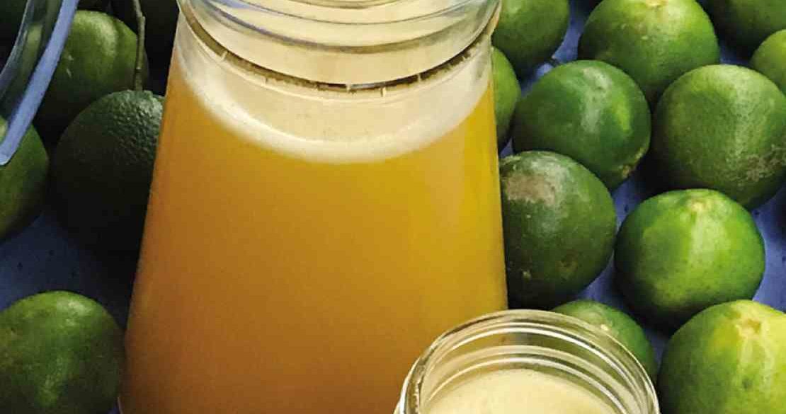 ‘Dalandan’ shake to make you your worries Lifestyle.INQ