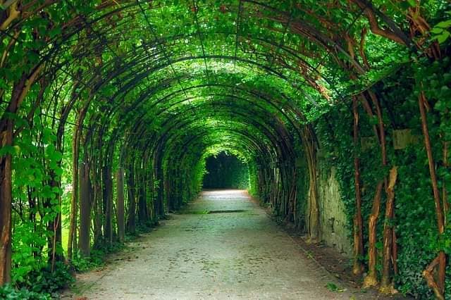 Green Tunnel in Iloilo City is the stuff of our ‘Secret Garden’ dreams