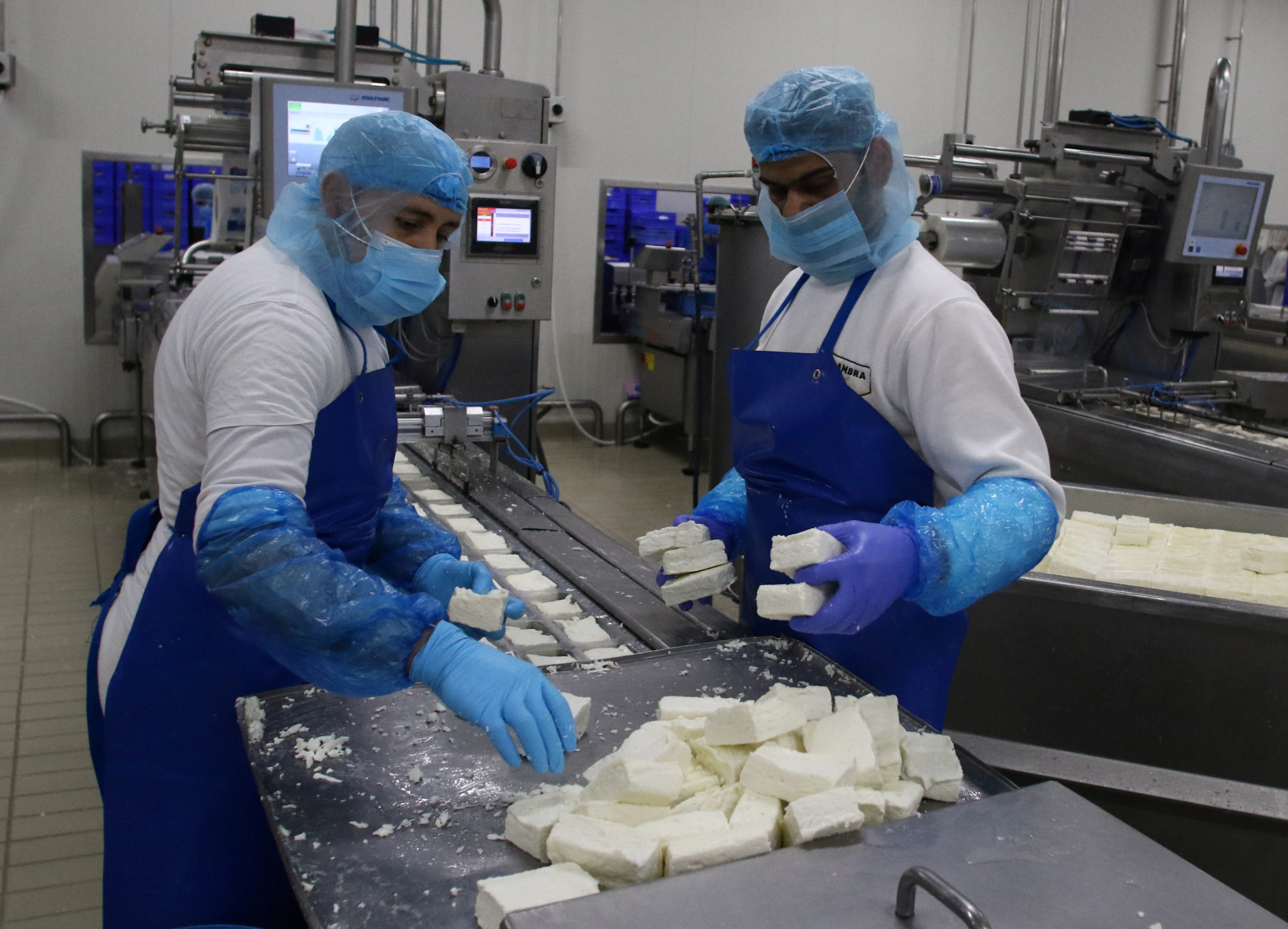 Say cheese! Cyprus' famed halloumi gets EU protected status