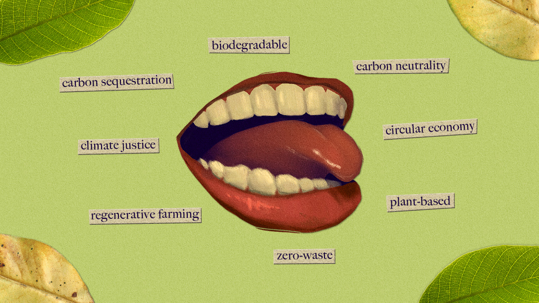 Here’s what these ‘sustainability’ terms meant before they became greenwashing buzzwords