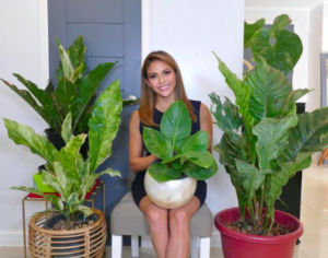 gretchen fullido easy to maintain plants ig