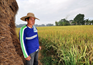 The fight for Filipino farmers’ dignity is everyone’s responsibility