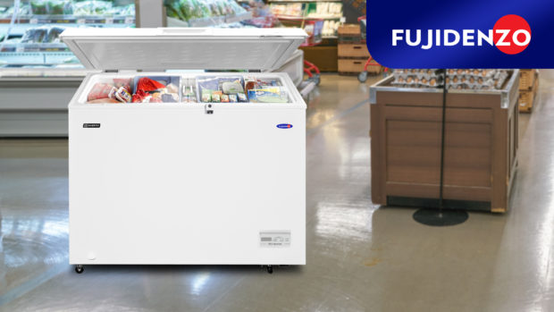 Fujidenzo Heavy Duty Inverter Chest Freezer