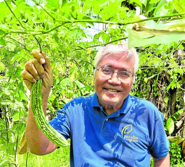 Tony Meloto, hands-on social entrepreneur, amid the bitter gourd vines