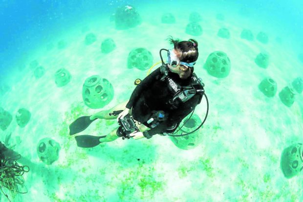 A diver among reef balls