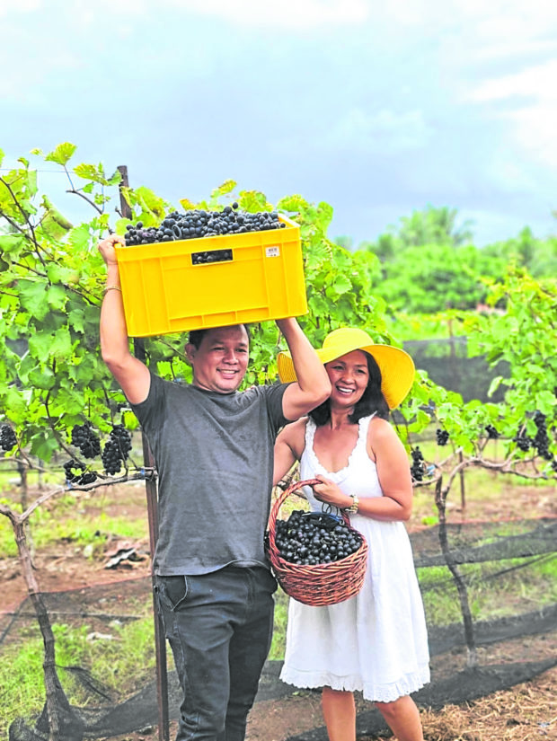 Ferdie and Jen Taglucop in their vineyard