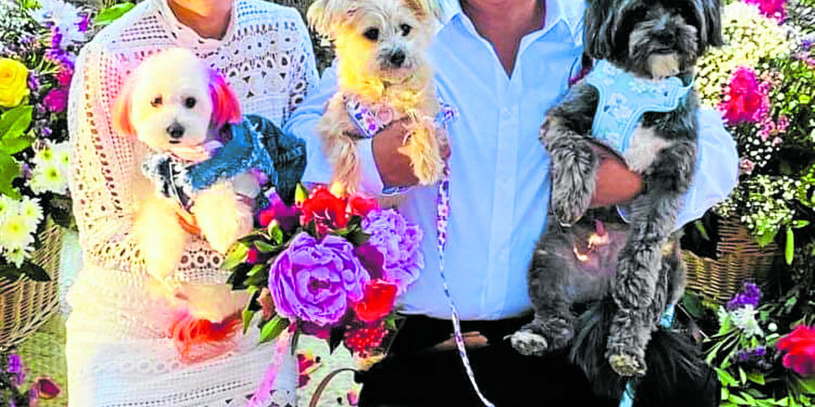 Three dogs and a wedding: The couple with the furry members of their entourage