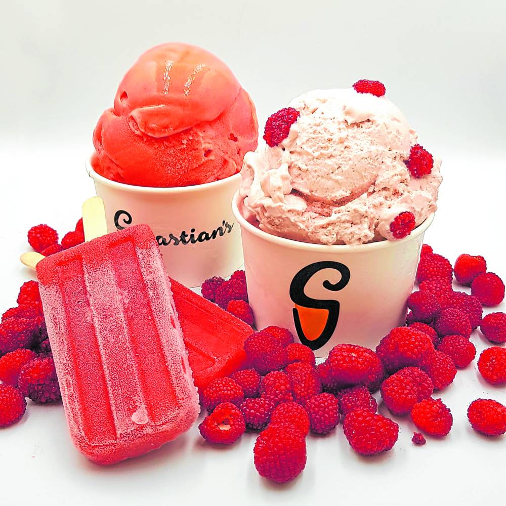 Sebastian’s “sampinit” ice pop, sorbet and ice cream