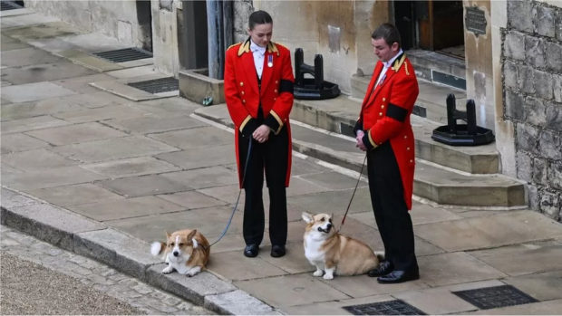 The Queen's Corgis Muick and Sandy