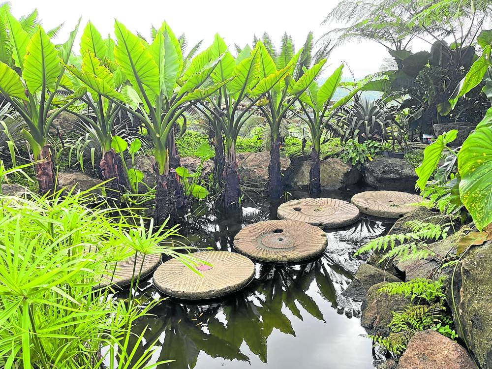 An oasis in Lucban hidden amid the forests