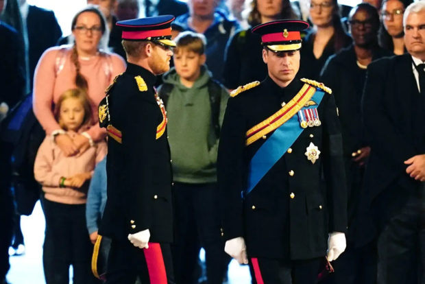 Prince Harry and Prince William in Uniform
