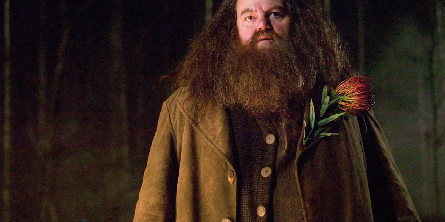 Robbie Coltrane, 'Hagrid' In Harry Potter Film Franchise, Dies At 72 ...