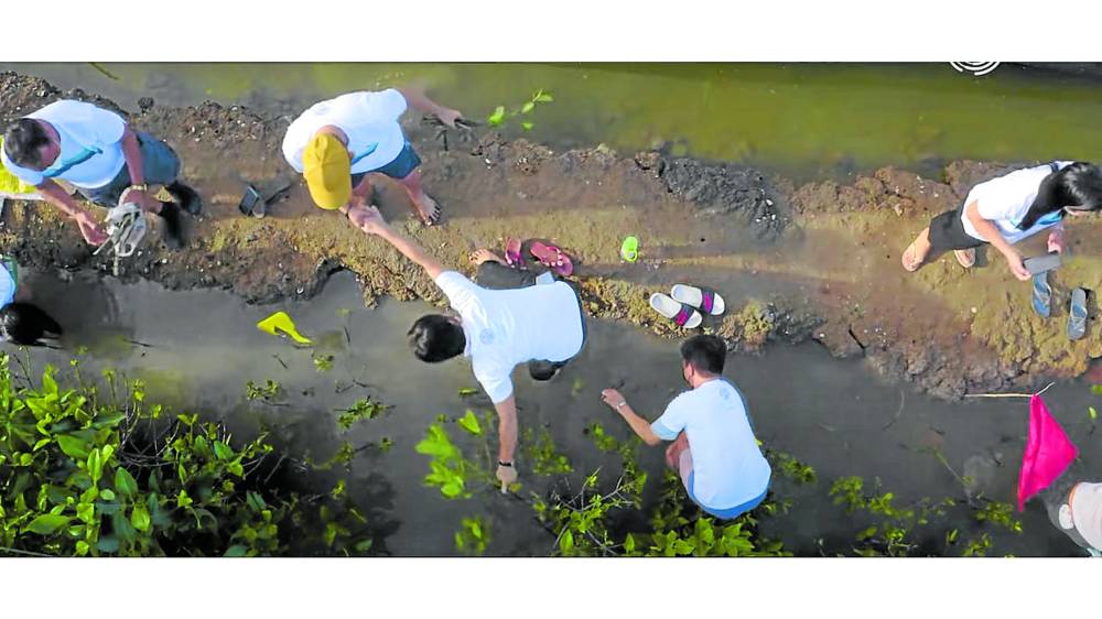 Bonuan Buquig students mangrove planting