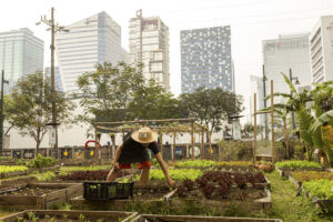 What this nonprofit community farm in BGC can teach us about volunteerism
