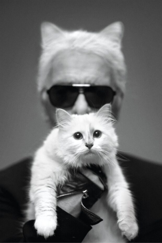 Lagerfeld his beloved Birman cat Choupette
