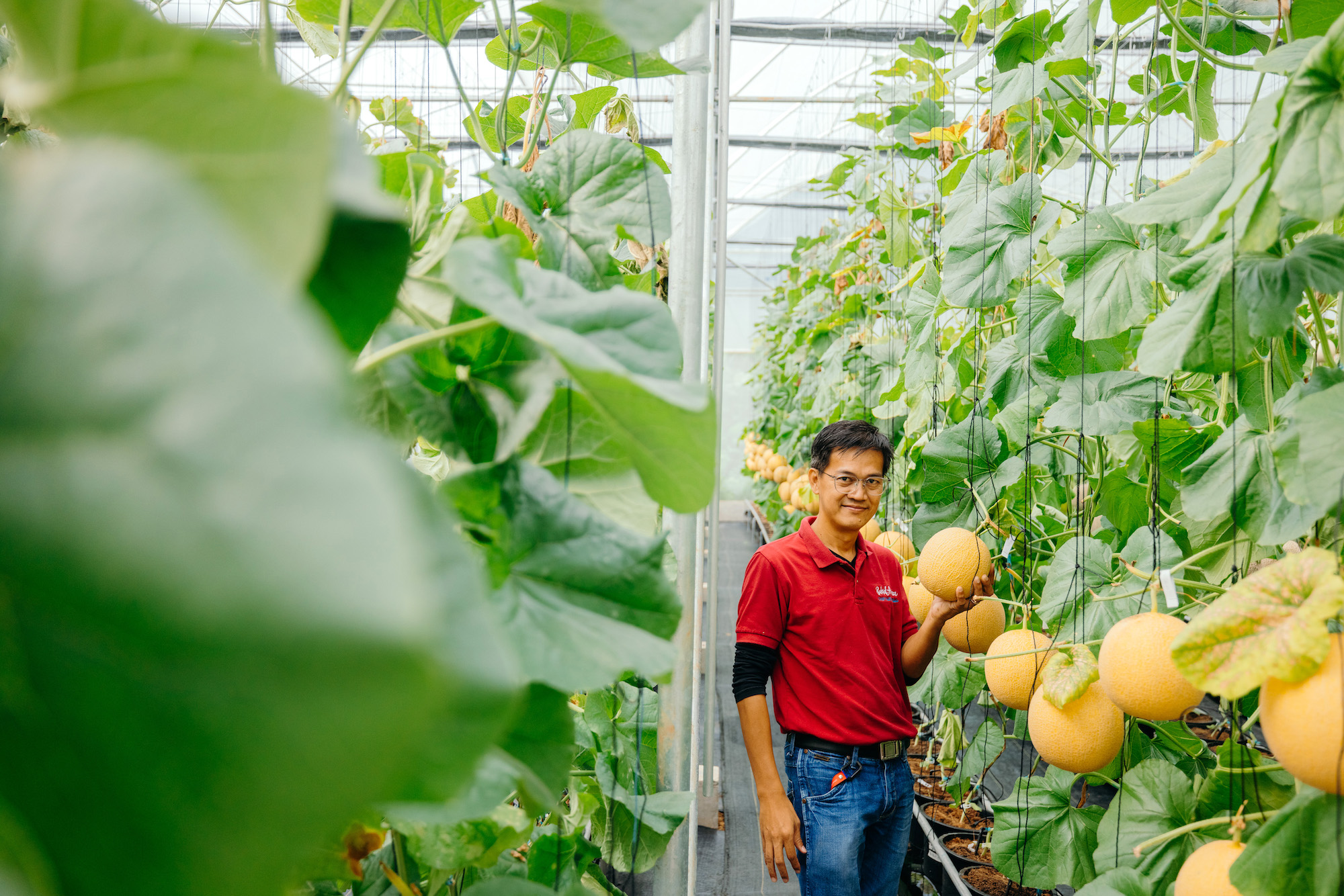 Quitting corporate for the farm life: Business is blooming at this ‘bukidscape’ called Bukid Amara