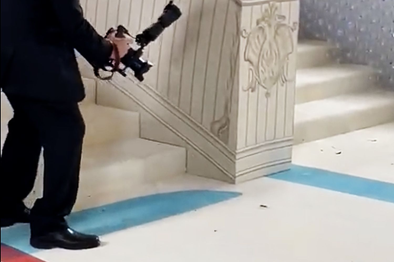 A cockroach stole the show at the Met Gala, which feels appropriate