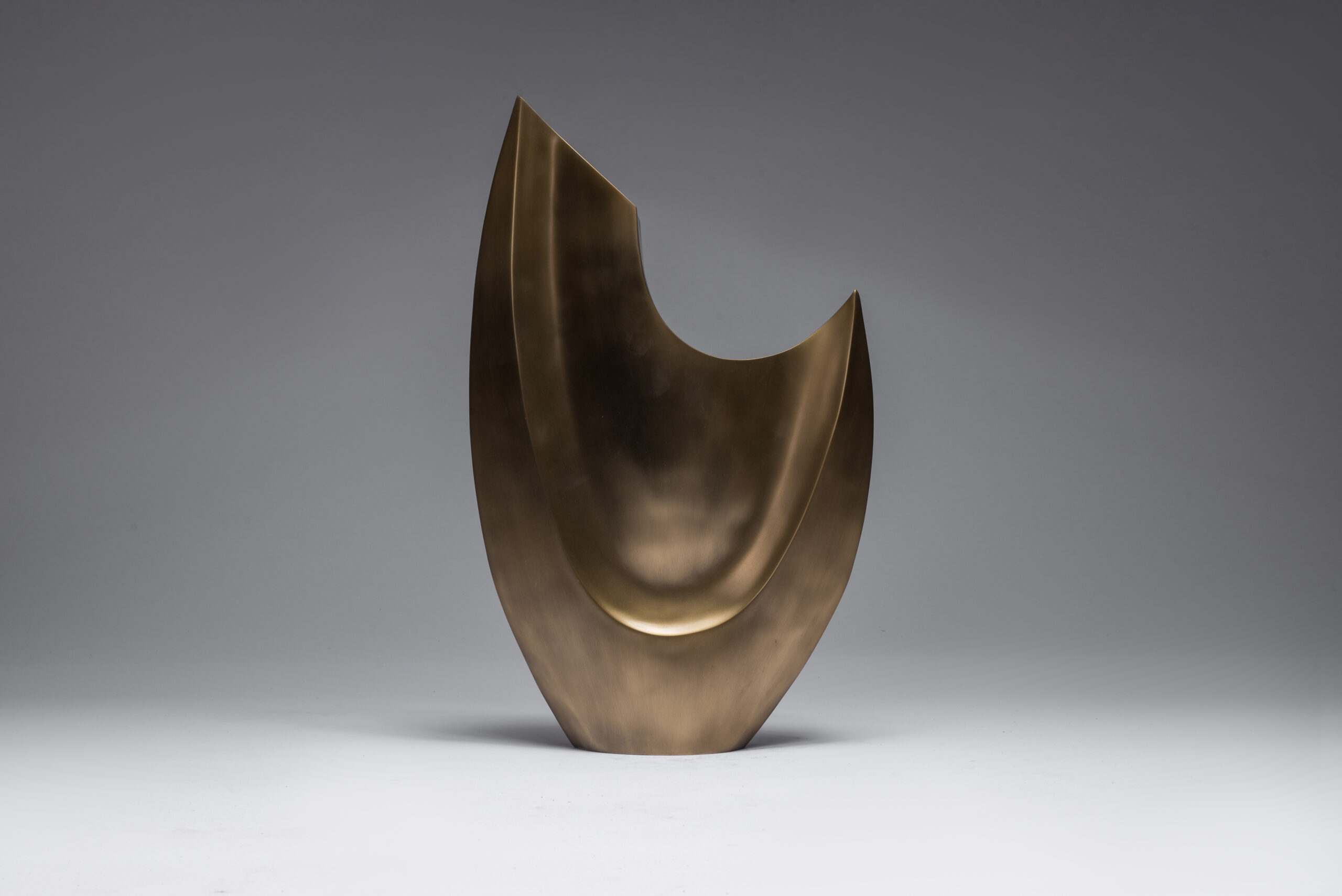abstract Brass sculpture