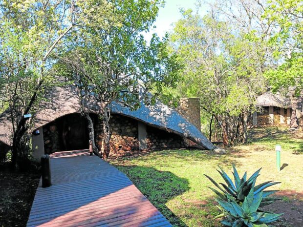 Thatched chalets at Mkuze Falls Game Lodge offer luxurious amenities.