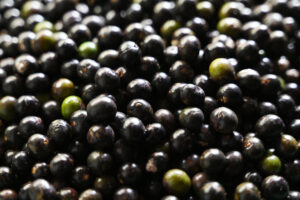 Acai berry is deemed a superfood