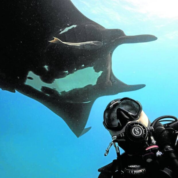 A selfie with Blackie the giant manta in Islas de Revillagigedo, Mexico