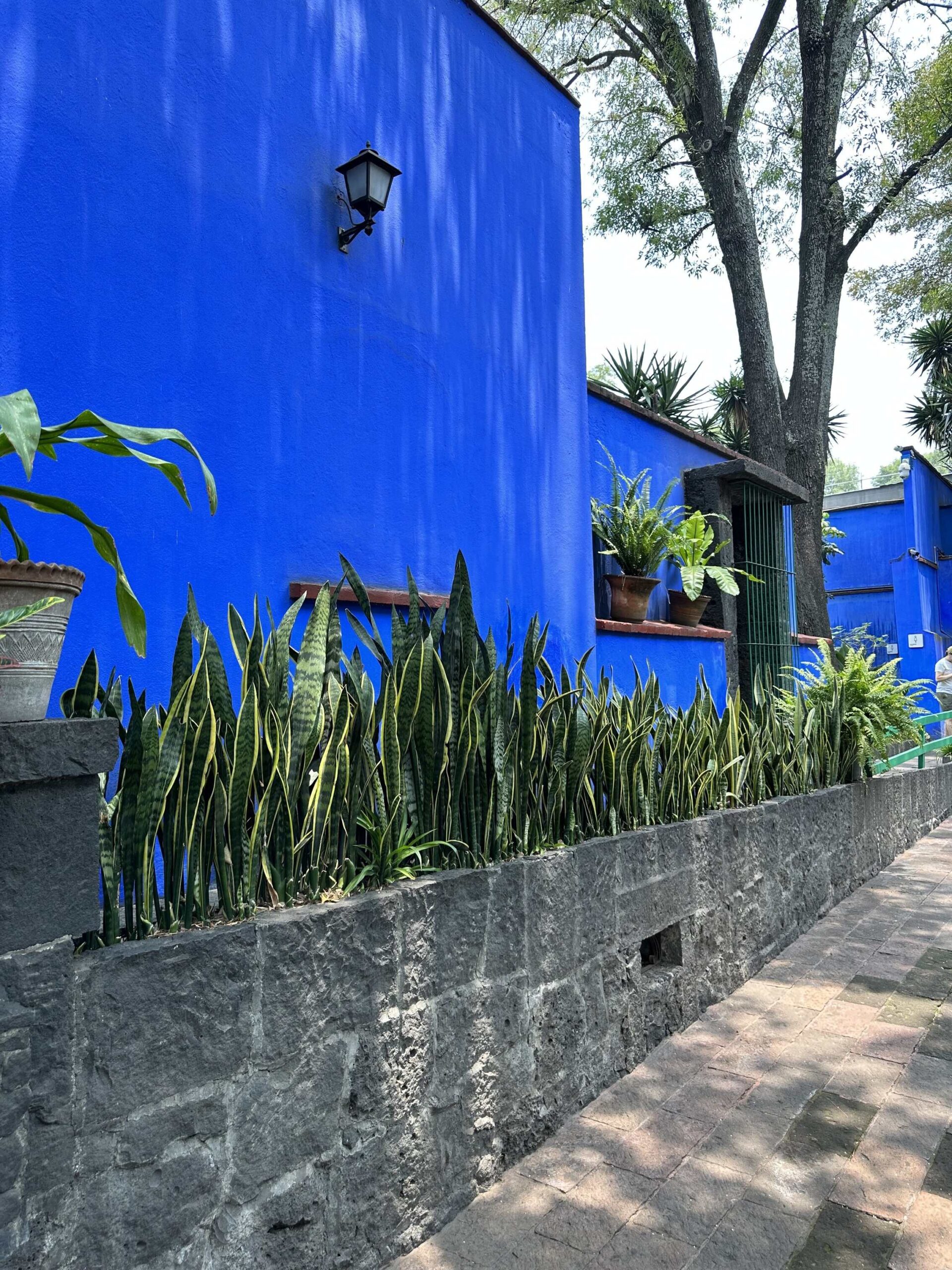 Museo Frida Kahlo, also known as La Casa Azul (The Blue House