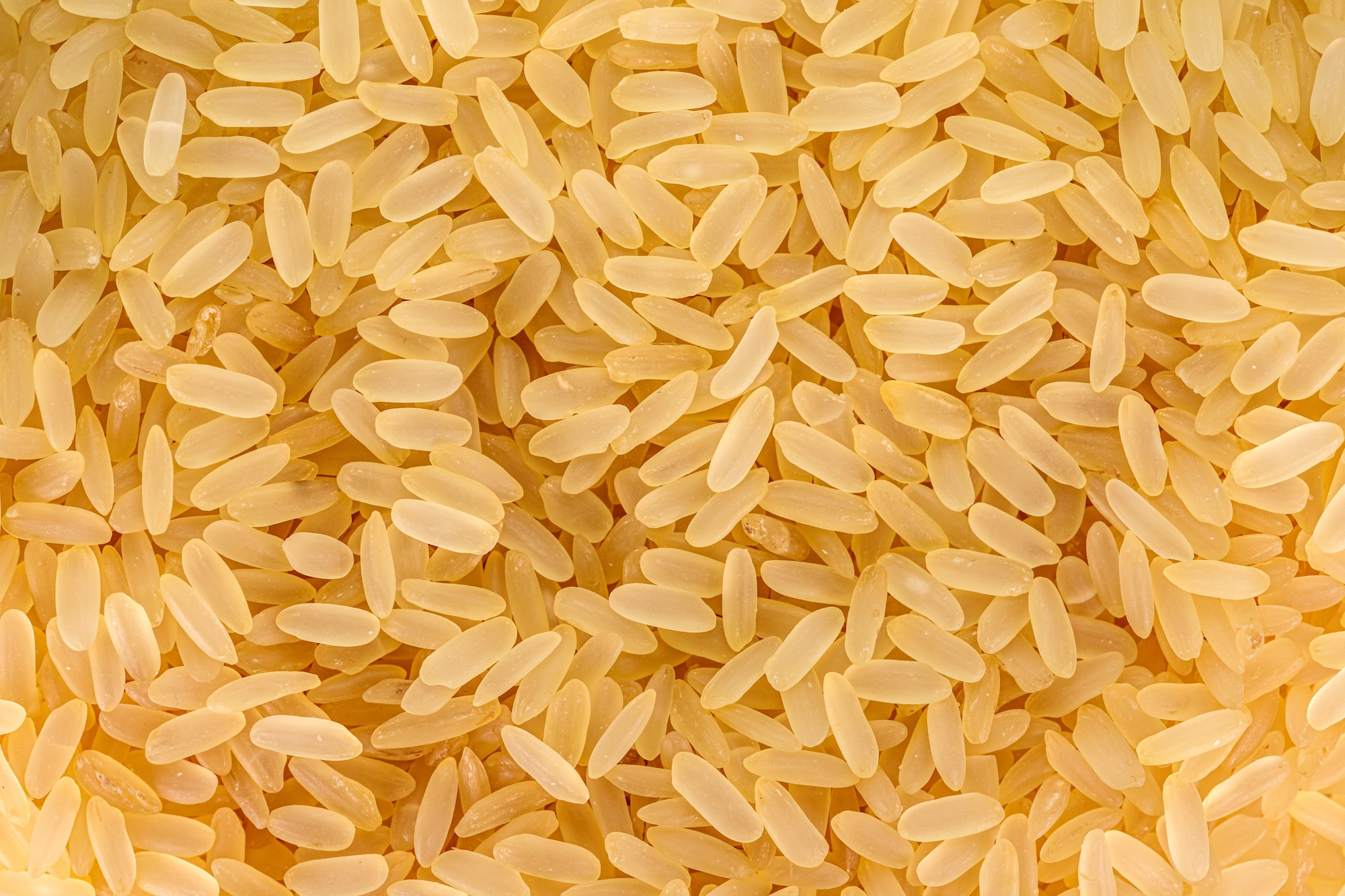 Traditional rice varieties as a solution to alleviate the effects of climate change