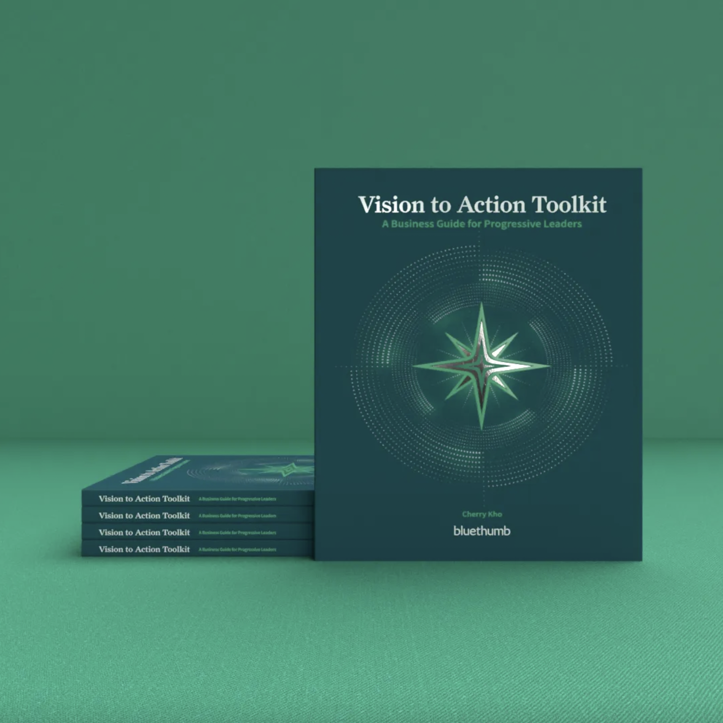 “The Vision to Action Toolkit”