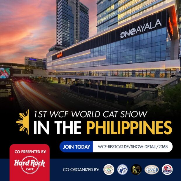 World Cat Federation (WCF) Philippines First World Cat Show 