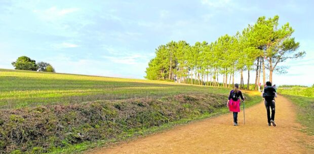 Yellow arrows to the soul: A pilgrim’s lessons from the Camino