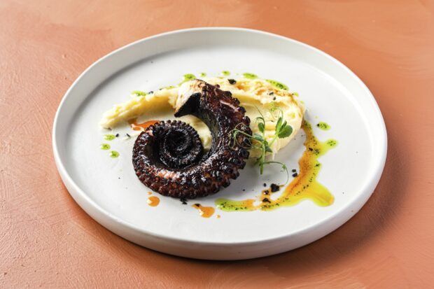 Alma Poblacion: Roasted charcoal octopus with mashed potatoes, EVOO, mery sauce, and smoked Spanish paprika oil